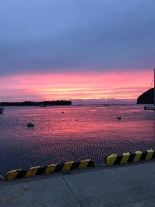 御浜岬の至福を一身に味わう 一軒家貸切宿で贅沢なバーベキューを楽しみながら夕陽に染まる戸田湾の美しさを満喫 نومازو المظهر الخارجي الصورة