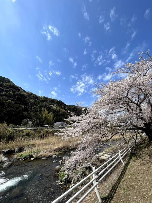 御浜岬の至福を一身に味わう 一軒家貸切宿で贅沢なバーベキューを楽しみながら夕陽に染まる戸田湾の美しさを満喫 نومازو المظهر الخارجي الصورة