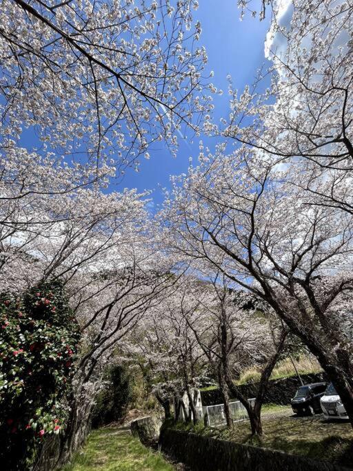 御浜岬の至福を一身に味わう 一軒家貸切宿で贅沢なバーベキューを楽しみながら夕陽に染まる戸田湾の美しさを満喫 نومازو المظهر الخارجي الصورة